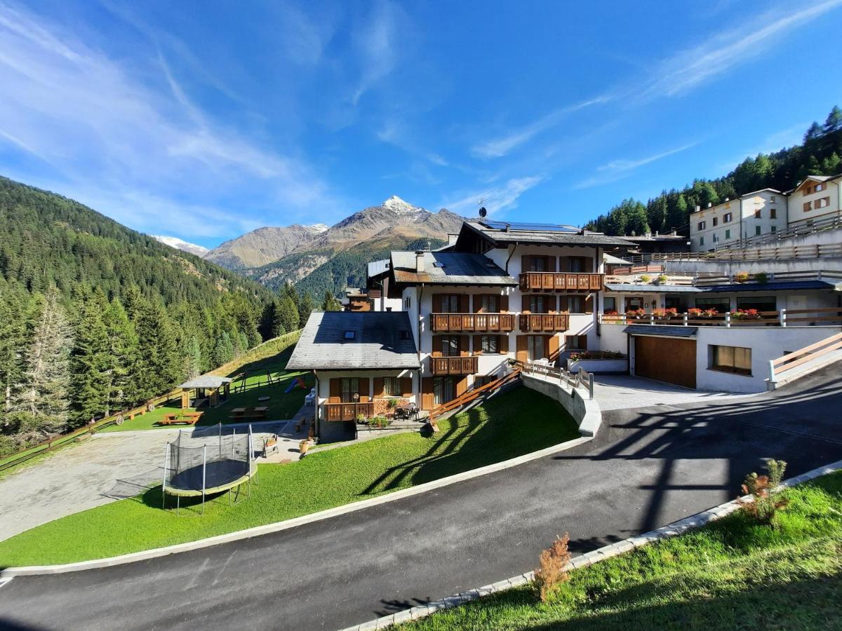 Primula 7 * Santa Caterina di Valfurva